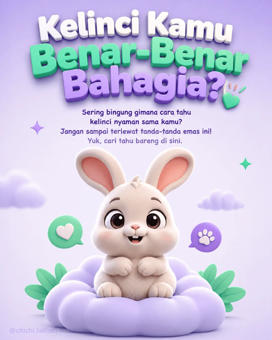Chichi Kelinci — chichi-kelinci-1